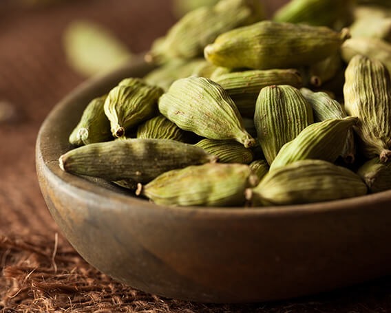 Quality Check Standards